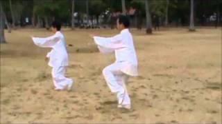 TaiChi 13 Steps by Sifu Daniel Tan [upl. by Nerhe]