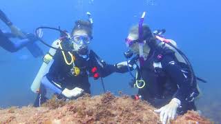 Learn to Dive With The Dive Shop in Tucson Arizona [upl. by Amena]