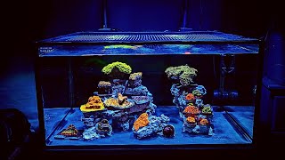 How to set up a Saltwater Reef Aquarium for beginners 2021 [upl. by Osicran416]