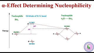 αEffect Determining Nucleophilicity [upl. by Obau]