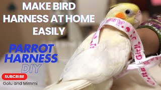 How To Make Harness for Parrot at Home  Parrot Harness DIY howto parrot harness petbird [upl. by Ainnos]