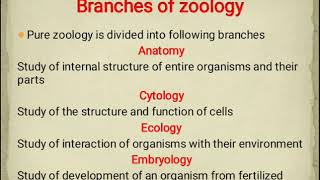 Branches of Zoology [upl. by Anerbas867]