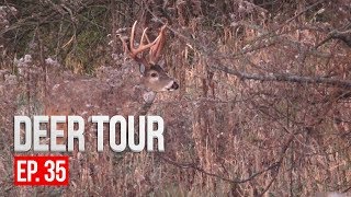 CRAZY RUTTING FOOTAGE Intense Deer Vocalizations  DEER TOUR E35 [upl. by Aimak]