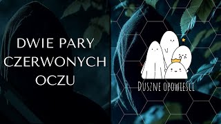 Dwie pary czerwonych oczu  PARANORMALNE HISTORIE WIDZÓW [upl. by Eilhsa195]