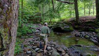 Vermont small stream fly fishing [upl. by Rriocard]