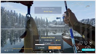 Unique Brook Trout Guide  White Moose Lake  Fishing Planet [upl. by Nomla]