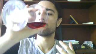 Blueberry Wine tasting and review [upl. by Dagnah]