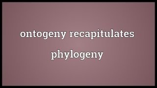 Ontogeny recapitulates phylogeny Meaning [upl. by Treat]