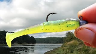 SOFT PLASTICS FISHING FOR BEGINNERS [upl. by Tannen]