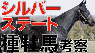 種牡馬シルバーステートの産駒傾向を考察！福永調教師も認めた圧倒的なエンジン。 [upl. by Shandy]