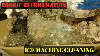 Cleaning a Follett Countertop Ice Machine Interior amp Exterior [upl. by Netsrek]