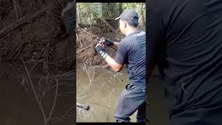 Ternyata Babon Mancing Tekhnik Casting Di Muara Sungai fishing mancing castinger [upl. by Assanav]