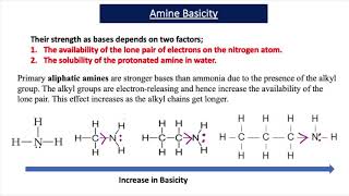 The Basicity of Amines A2 Chemistry [upl. by Lipscomb]