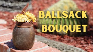 BALLSACK BOUQUET [upl. by Fanni]