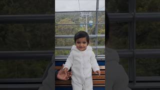 Arthurs Seat Eagle  Base Station australia shorts shortfeed cutebaby travel youtubeshorts [upl. by Salokcin]