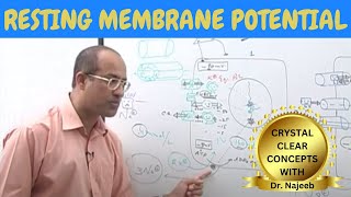 Resting Membrane Potential  Neurology  Dr Najeeb [upl. by Belter]