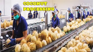 Inside COCONUT Processing in Modern Factory  Coconut Oil Milk and Flour  Coconut Process Plant [upl. by Kurtz]