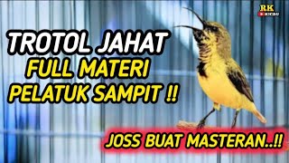 SOGON TROTOL GACOR DOR FULL MATERI PELATUK SAMPIT ROLL NEMBAK KASAR  COCOK UNTUK MASTERAN SOGON2 [upl. by Domel984]