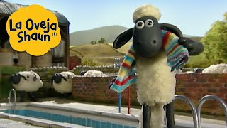 La Oveja Shaun 🐑 Fiesta de piscina 🐑 Dibujos animados para niños [upl. by Aniles375]