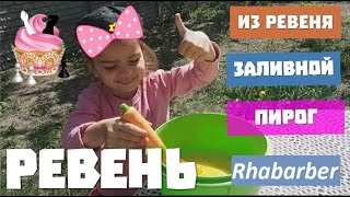 РЕВЕНЬ Простой и быстрый заливной пирог на кефире из ревеня в духовке Rhabarber [upl. by Ennahtur]