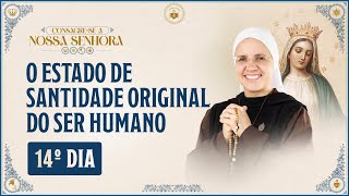 14º dia  Consagração a Nossa Senhora 2024  O estado de santidade original do ser humano  0511 [upl. by Nedrah]