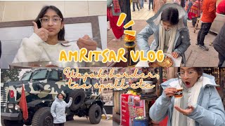 Amritsar Vlog  BeatsWithHarnidh  Punjab Vlog 4  Vlog 10  Comedy  Family [upl. by Hars841]