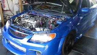 Mazdaspeed Protege Dyno Pulls [upl. by Bunce211]