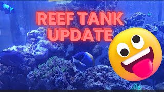 Reef Tank Update [upl. by Enimsaj]