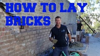 How to lay bricks [upl. by Rovner77]