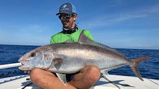 Vertical Jigging for Amberjacks  Live Fishing [upl. by Emelyne]