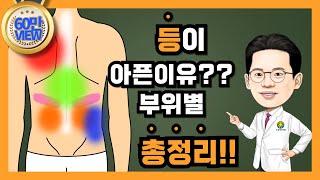 등이 아픈이유 부위별 연관통 증상 과 담적병 담적보감㉘ [upl. by Gerhard]