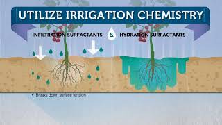 Surfactant 101 from Plant Health Technologies [upl. by Akehsal]