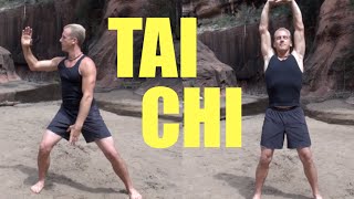 10 Minute Tai Chi Lesson  Amazing [upl. by Eimma]