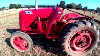 1951 David Brown Cropmaster VAK1A 25 Litre 4Cyl Petrol Paraffin TVO Tractor 34HP [upl. by Nelia]