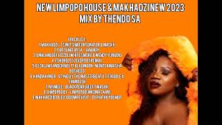 MAKHADZI NEW MUSIC 2023 amp LIMPOPO LATEST MUSICMIX BY THENDO SA [upl. by Meli]