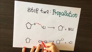 Free radical substitution Cyclopentane [upl. by Arhoz129]