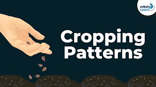 What are the Cropping Patterns  Dont Memorise [upl. by Anear]