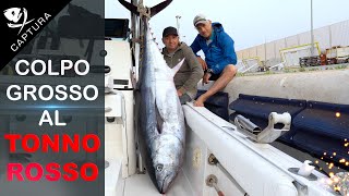 PESCA AL TONNO colpo grosso al tonno rosso [upl. by Adnawad]