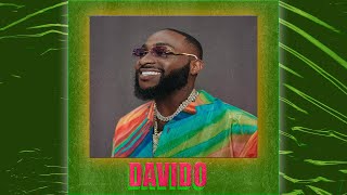 DAVIDO  Afrobeat  quotVibesquot [upl. by Auqinimod]