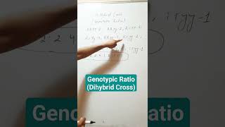 Genotypic Ratio Dihybrid Cross [upl. by Nnylirej911]