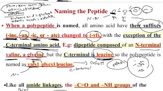 Biochemistry lec 4 proteins structure [upl. by Kimmel]