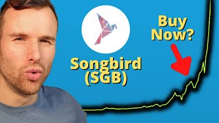 Why Songbird is up ⚠️ SGB Crypto Token Analysis [upl. by Clemmie]