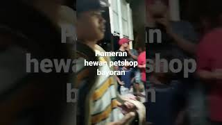 sabtu minggu pameran hewan petshop bayoran lama [upl. by Pfosi]