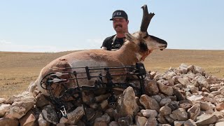 Massive Montana Antelope [upl. by Janis776]