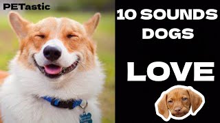 10 SOUNDS DOGS LOVE  Pet Audio Paradise SFX [upl. by Ahsiaa]