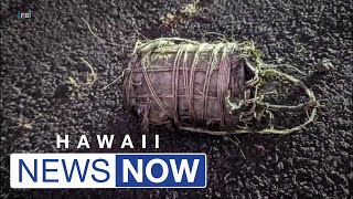 FBI Maui police investigating reports of potential explosive devices [upl. by Poul]