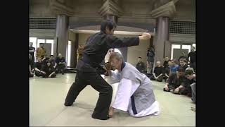 Taijutsu with kakushi buki Tekagi Shuko Masaaki Hatsumi sensei [upl. by Otto999]