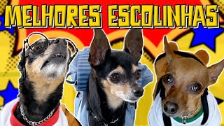 AS MELHORES ESCOLINHAS DOS PEQUENOS PRÍNCIPES  SUPER COMPILADO [upl. by Etnaud407]