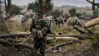 Afrique  les chasseurs de braconniers au Kenya [upl. by Eelreveb]