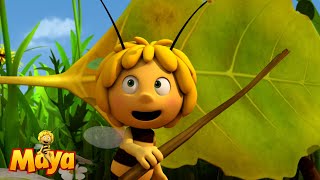 The leaves are in the way  Maya the Bee🐝🍯🐝 [upl. by Idnac759]